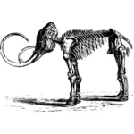 Mammut-Skelett