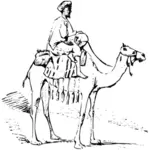 Kresba pouštních zvířat a mužské Rider