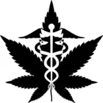 Lékařské marihuany