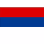 Vlag van de provincie Misiones
