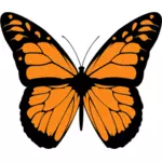 Векторное изображение Оранжевая бабочка с широкими расправить крылья