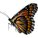 Borboleta monarca vetor clip-art
