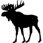 Moose silueta