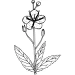 Pflanze-Vektor-illustration