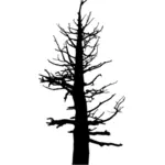 صورة ظلية مخيفة شجرة