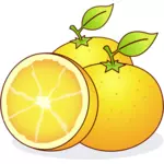 Suculentas laranjas