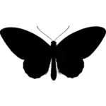 Ornithoptera sommerfugl silhuett