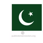 علم ناقلات الباكستانية