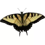 Papillon noir et brun