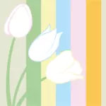 Pastelowe tulipany