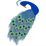 Grafica de albastru Păun coada şi capul