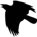 Ворона летят векторное изображение