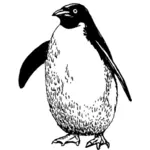 Pingwin, rysunek