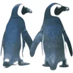 Imagine vectorială de pinguini