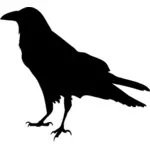 Silhueta corvo