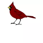 ציפור קרדינל צבע אדום באוסף תמונות