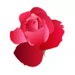 Digitální kresba červené růže