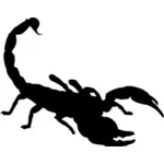 Scorpion silhuett