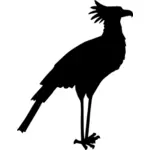 Secretary bird silhouette vector image