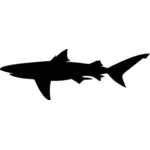 Silhueta de tubarão