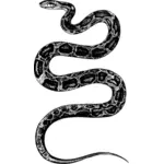 蛇のイラスト