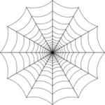 Sylwetka web Spider