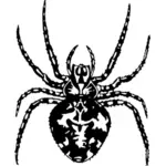 Image dessin de l’araignée