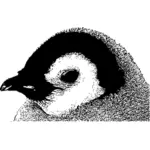 Vektorbild av Kejsarpingvinen chick huvud