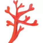 Röd korall