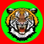 Тигр, зеленый красный стикер векторные иллюстрации