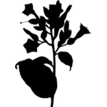 Tabak Pflanze silhouette