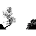 Drzewa dilhouette