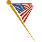 דגל ארצות הברית על פין