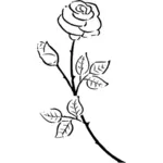 Sylwetka Vintage rose