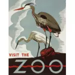 Immagine vettoriale di Zoo poster