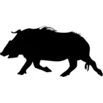 صورة ظلية الخنزير البري