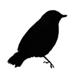 הציפור השחורה בתמונה וקטורית חלוקה לרמות