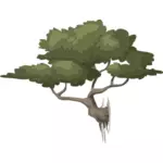 Бонсай дерево