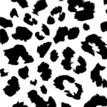 Leopard-Haut-Bild