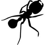 与长腿的轮廓矢量图形的蚂蚁