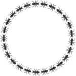 Vektor Klipart mravenec vzor kruhové hranice