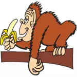 קוף בננה האכילה
