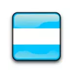 Bandeira de botão brilhante da Argentina