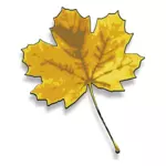 Fotorealistycznych klon żółty liść wektorowa