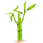 Closeup di illustrazione vettoriale gambo di bambù