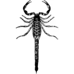 Vector de la imagen básica de escorpión
