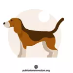 Beagle-koira