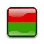 Botão de bandeira de Burkina Faso