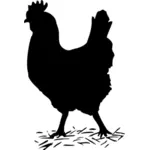 Kylling silhuett vector illustrasjon