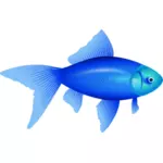 青い金魚のベクトル イラスト